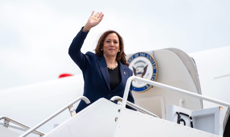 kamala-harris-has-been-officially-chosen-by-the-democratic-party-as-the-candidate- for-the-us-presidential-election